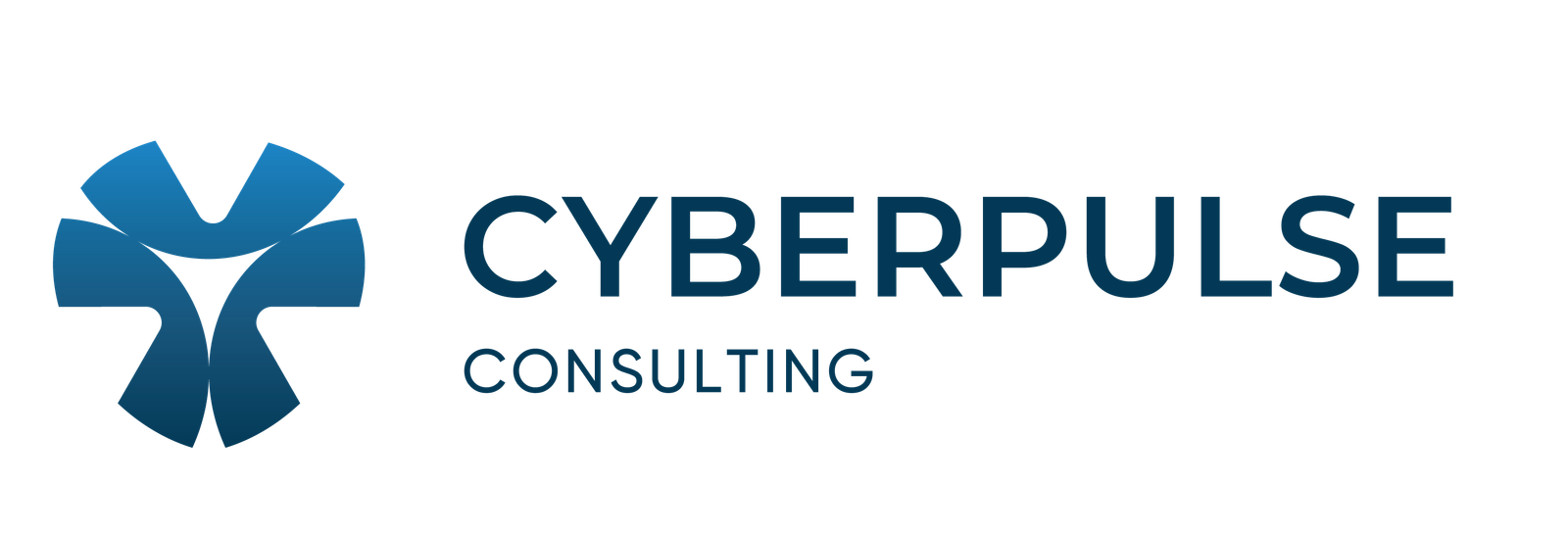 Cyberpulse Consulting – Fortifying Your Digital Presence